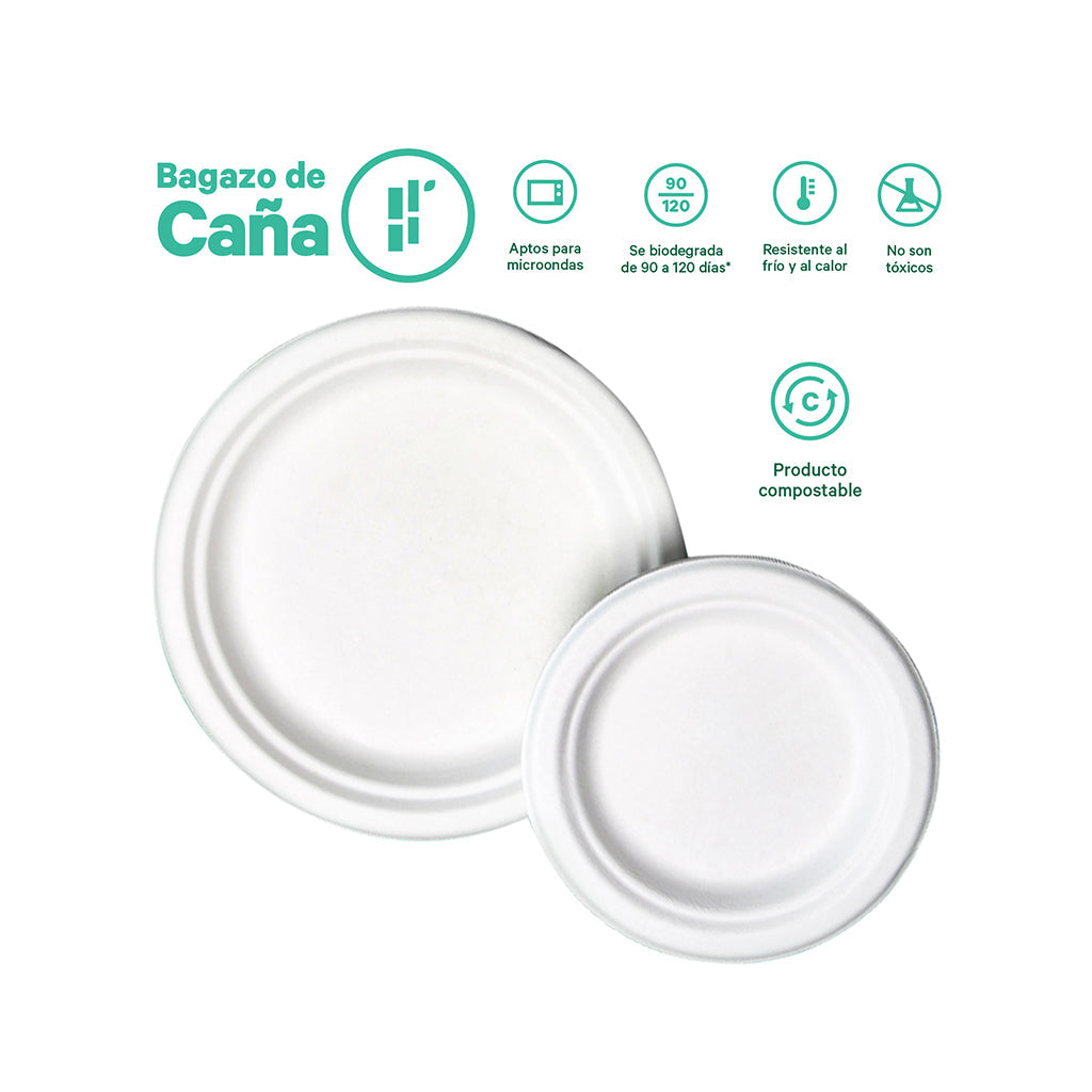 Plato Pastelero Desechable y Biodegradable De 6" - We Care