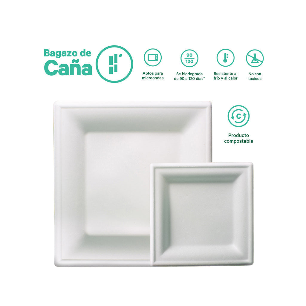 Plato Cuadrado Desechable y Biodegradable De 10" - We Care